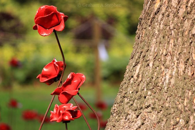 Weeping Window, Black Watch Castle and Museum